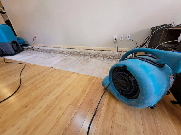 Professional Water Damage Repair technician working in Playa Vista, CA